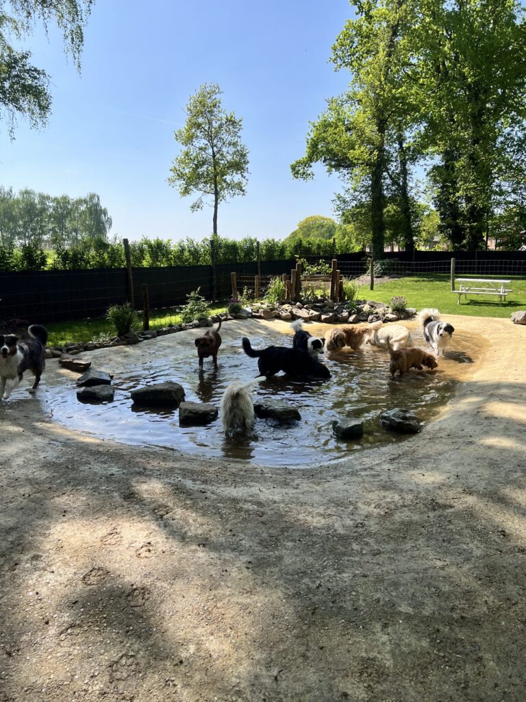 Afbeelding zonder ALT